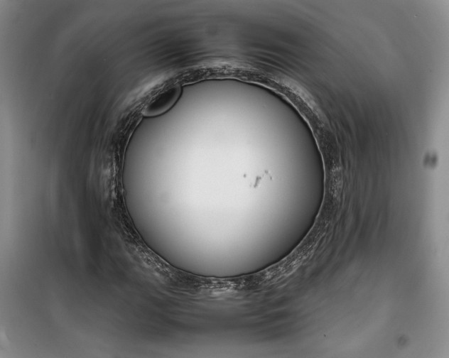 X0000100191111200806131201