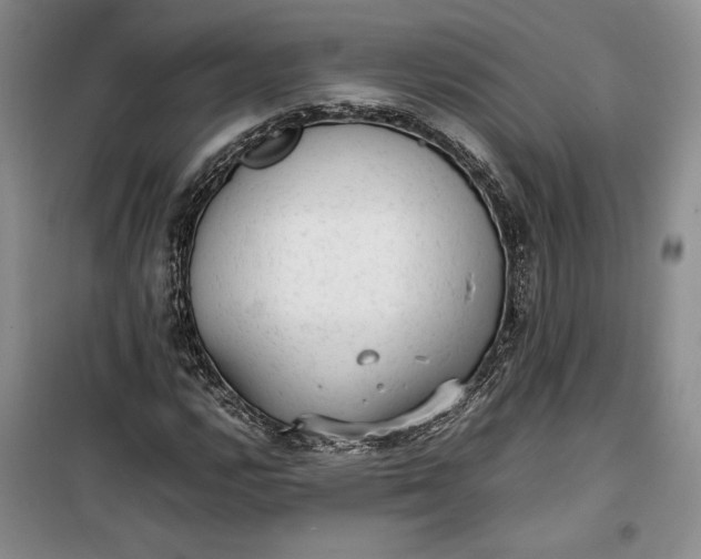 X0000100191112200806131201