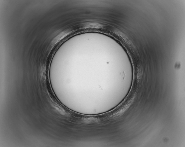 X0000100191113200806131201