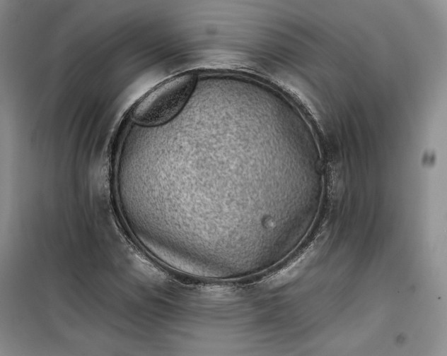 X0000100191114200806131201