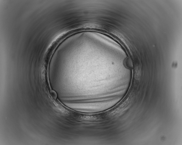 X0000100191115200806131201