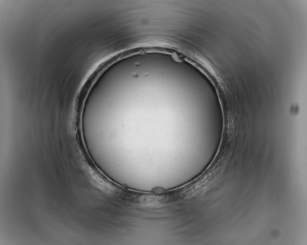 X0000100191116200806131201