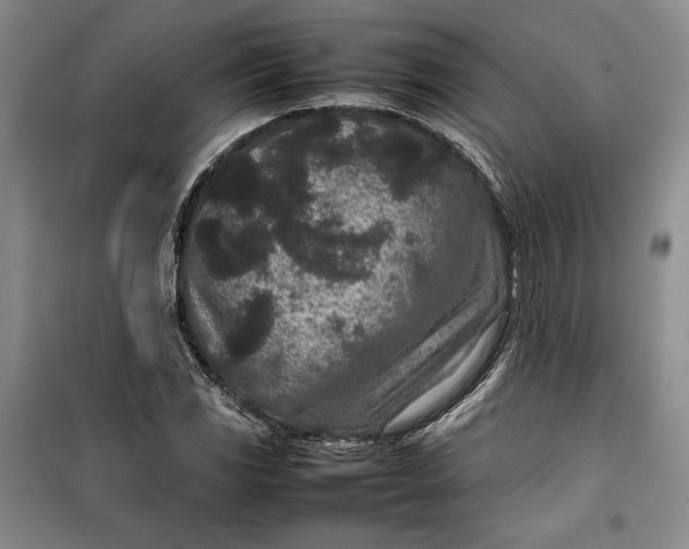 X0000100191117200806131201