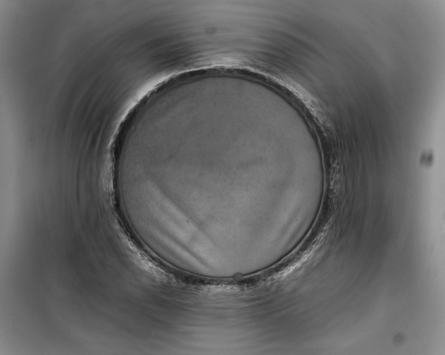 X0000100191118200806131201