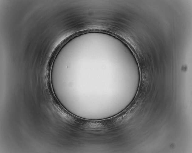 X0000100191119200806131201