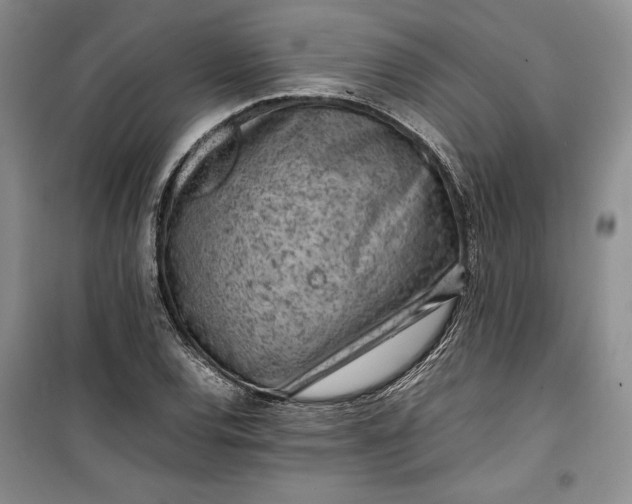 X0000100191120200806131201