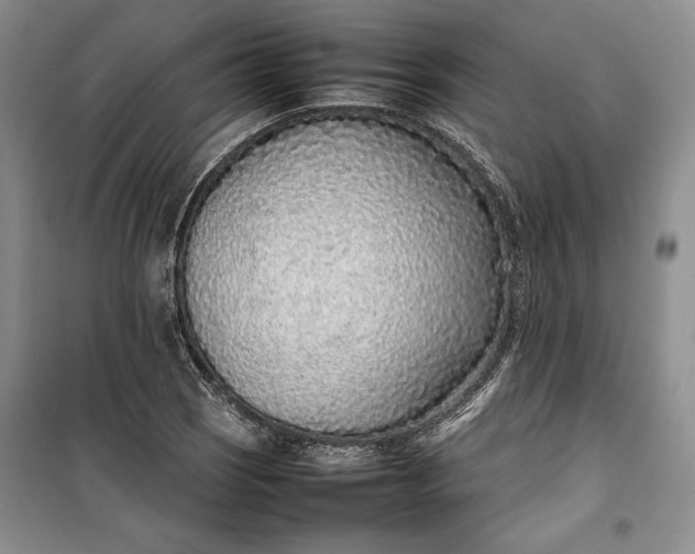 X0000100191121200806131201