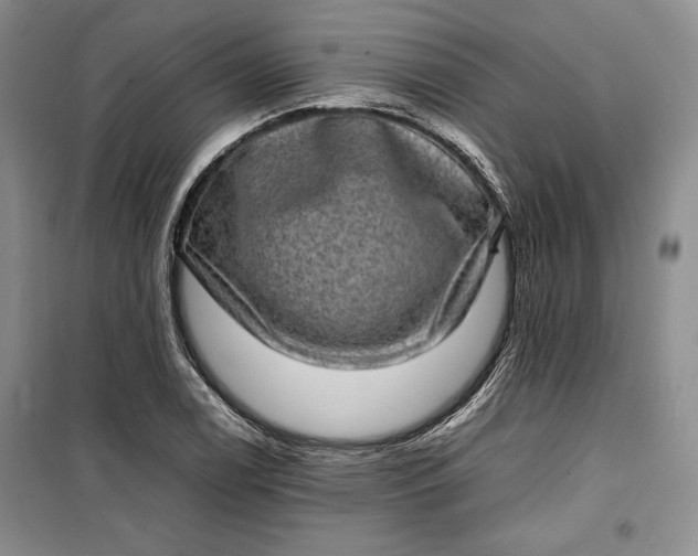 X0000100191122200806131201