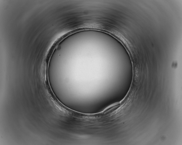 X0000100191123200806131201