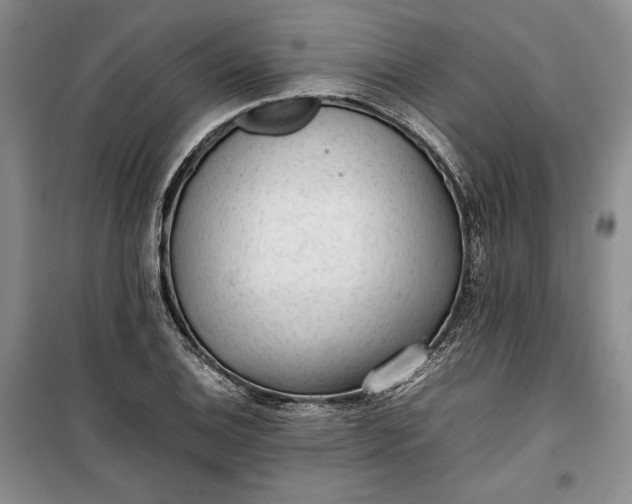 X0000100191124200806131201