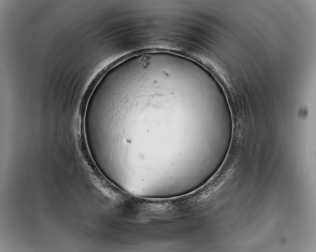 X0000100191125200806131201