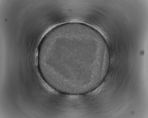 X0000100191126200806131201