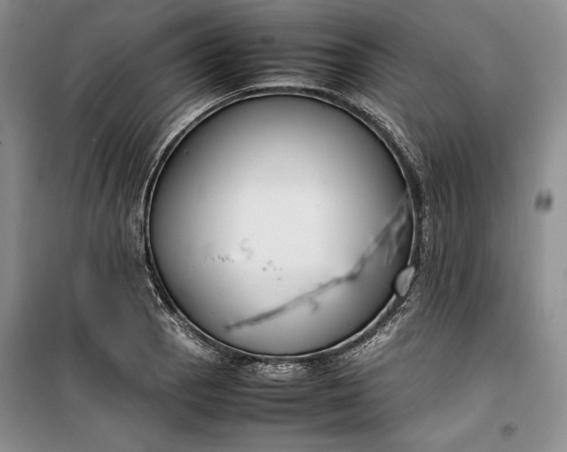 X0000100191129200806131201