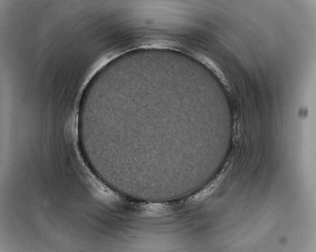 X0000100191130200806131201