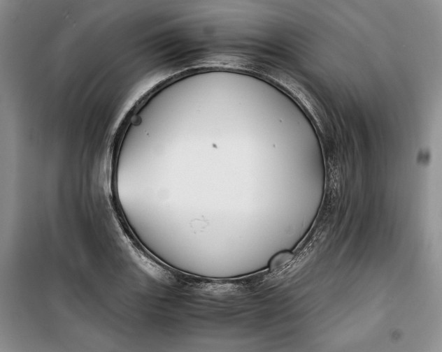 X0000100191131200806131201