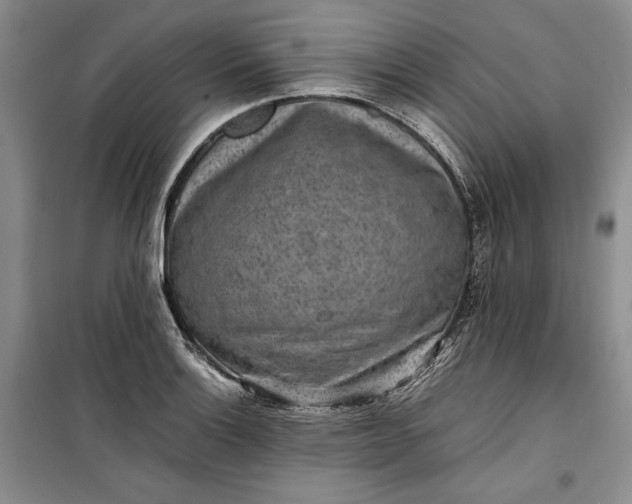 X0000100191132200806131201