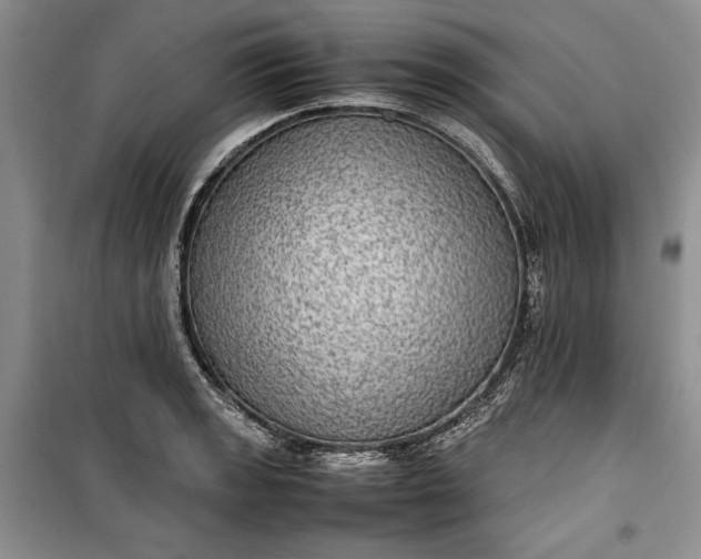 X0000100191133200806131201