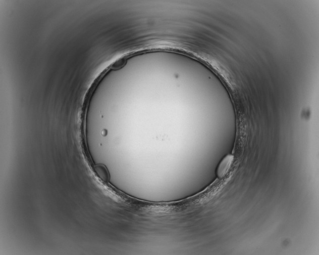 X0000100191134200806131201