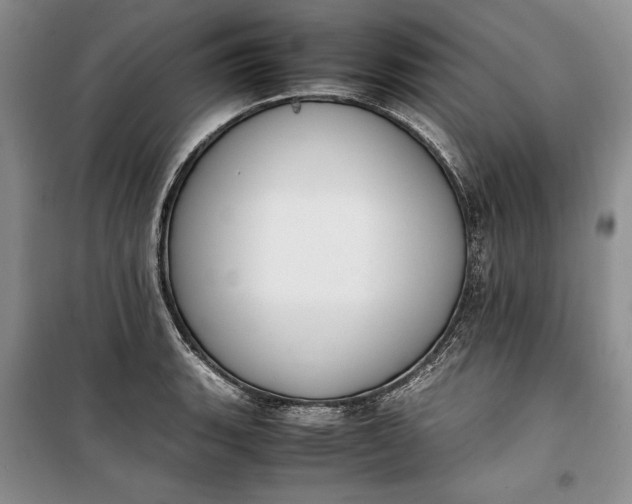 X0000100191135200806131201