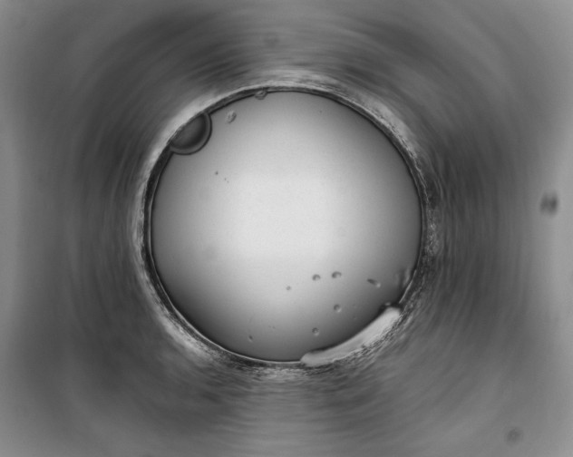 X0000100191136200806131201