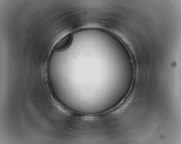 X0000100191137200806131201