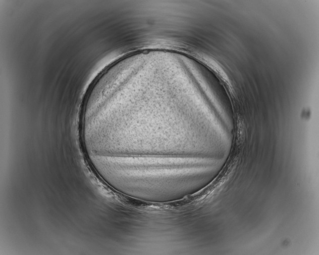 X0000100191138200806131202