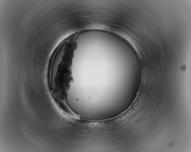 X0000100191139200806131202