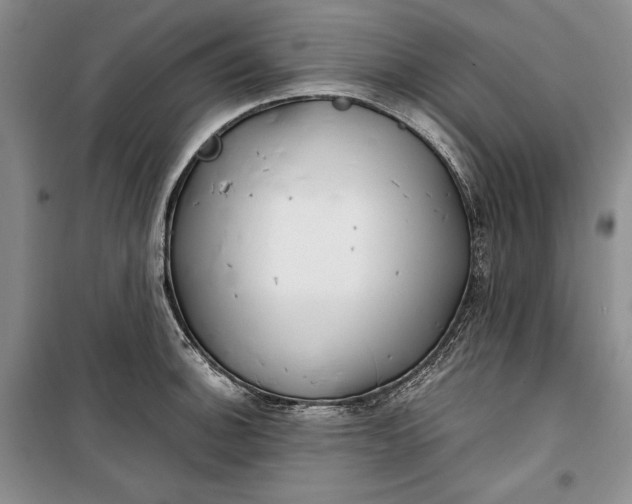 X0000100191140200806131202