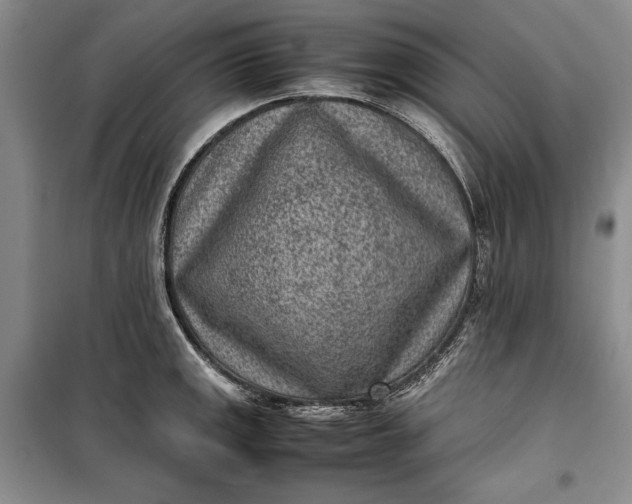 X0000100191141200806131202