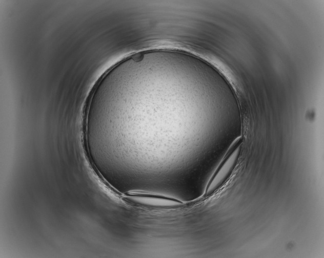 X0000100191142200806131202