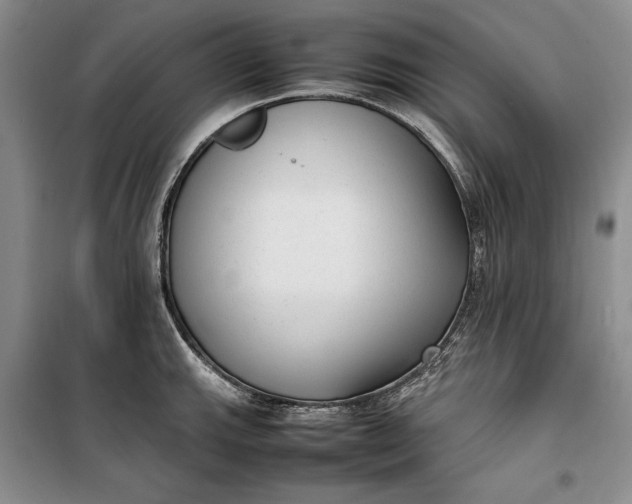 X0000100191143200806131202