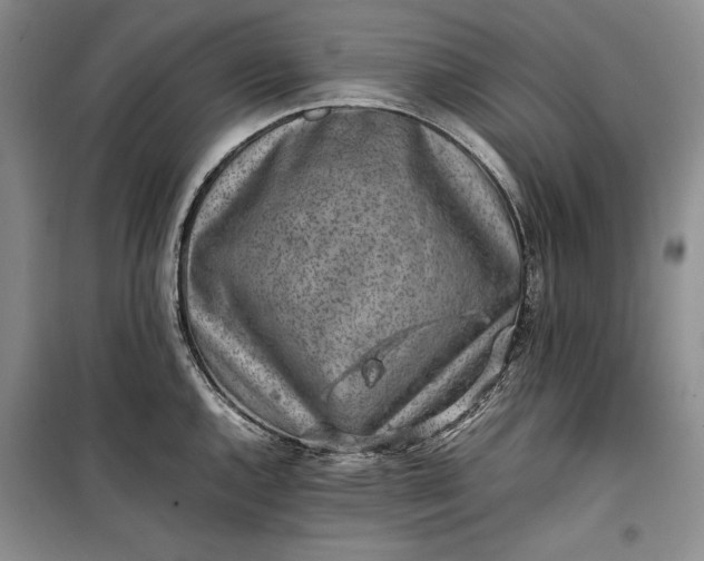 X0000100191144200806131202