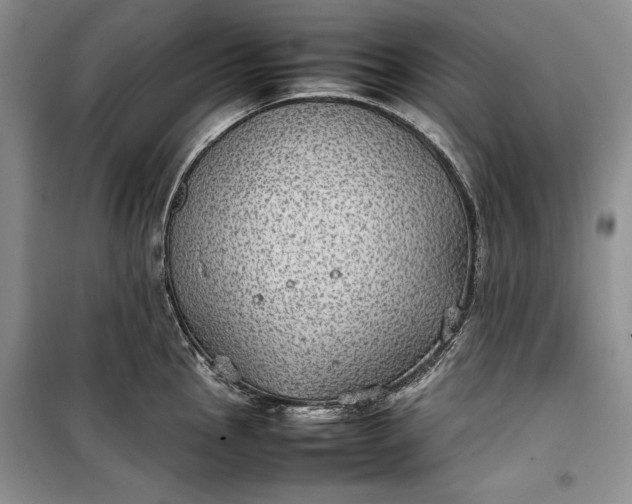 X0000100191145200806131202