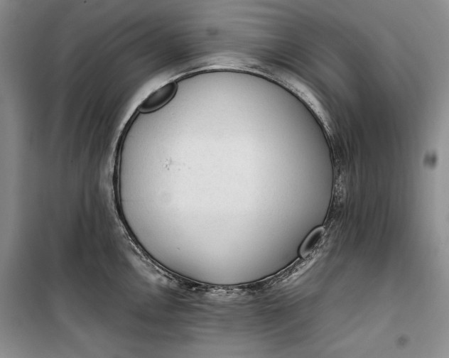 X0000100191146200806131202