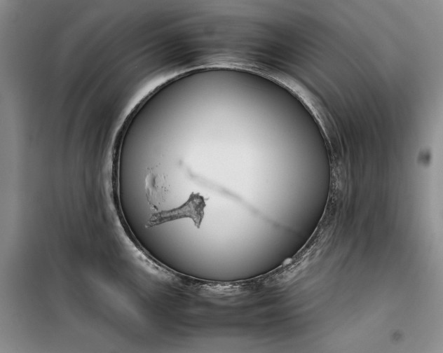 X0000100191147200806131202