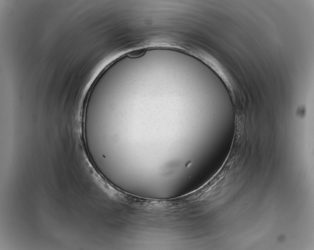 X0000100191148200806131202