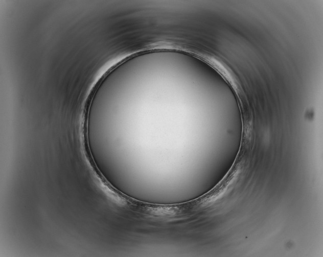 X0000100191149200806131202