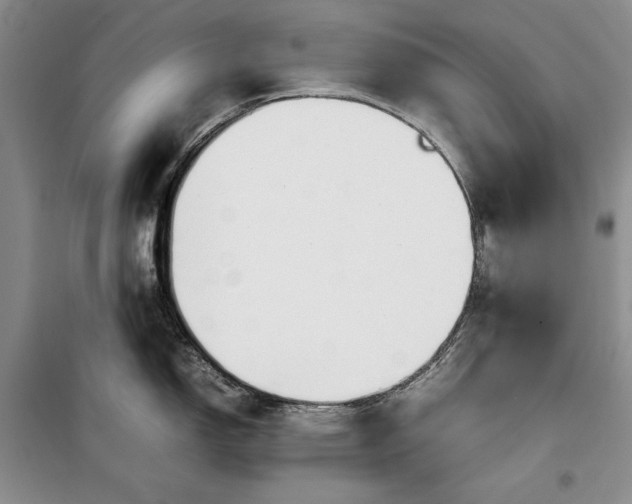 X0000100191150200806131202