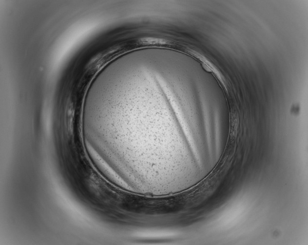 X0000100191151200806131202