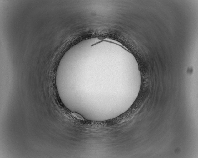 X0000100191153200806131201