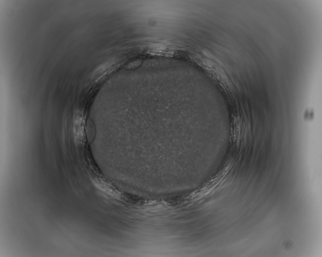 X0000100191154200806131201