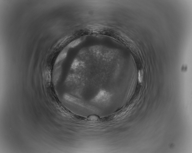 X0000100191155200806131201