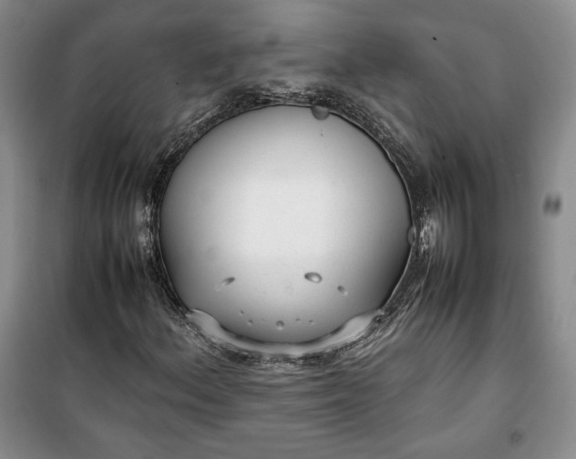 X0000100191156200806131201