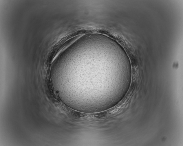 X0000100191157200806131201