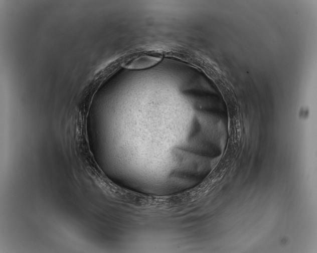 X0000100191158200806131201