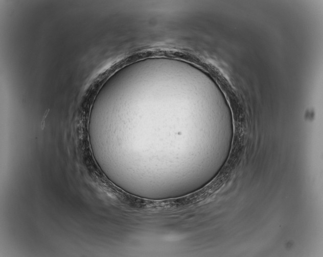 X0000100191159200806131201