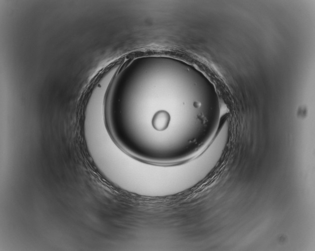 X0000100191160200806131201