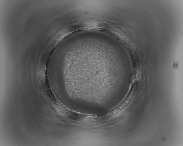 X0000100191161200806131201