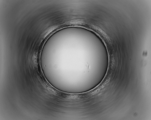 X0000100191162200806131201