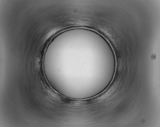 X0000100191163200806131201